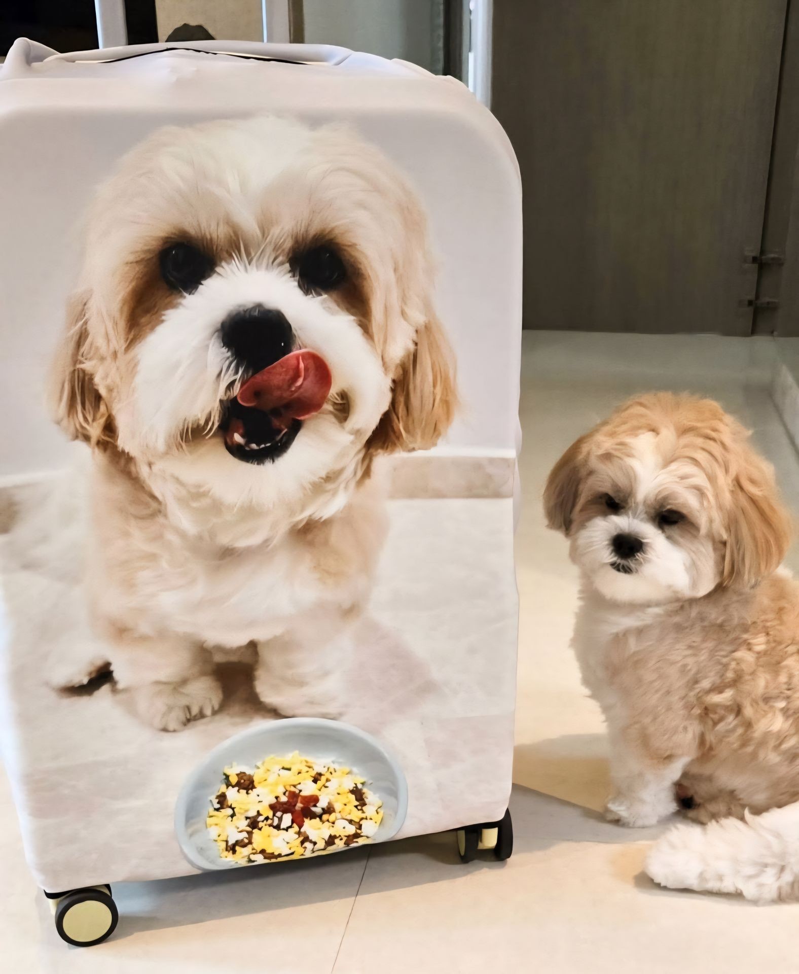 Customizable Pet Gifts